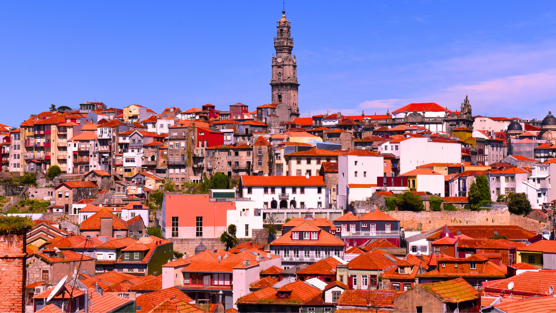 View across Porto rooftops near Clérigos