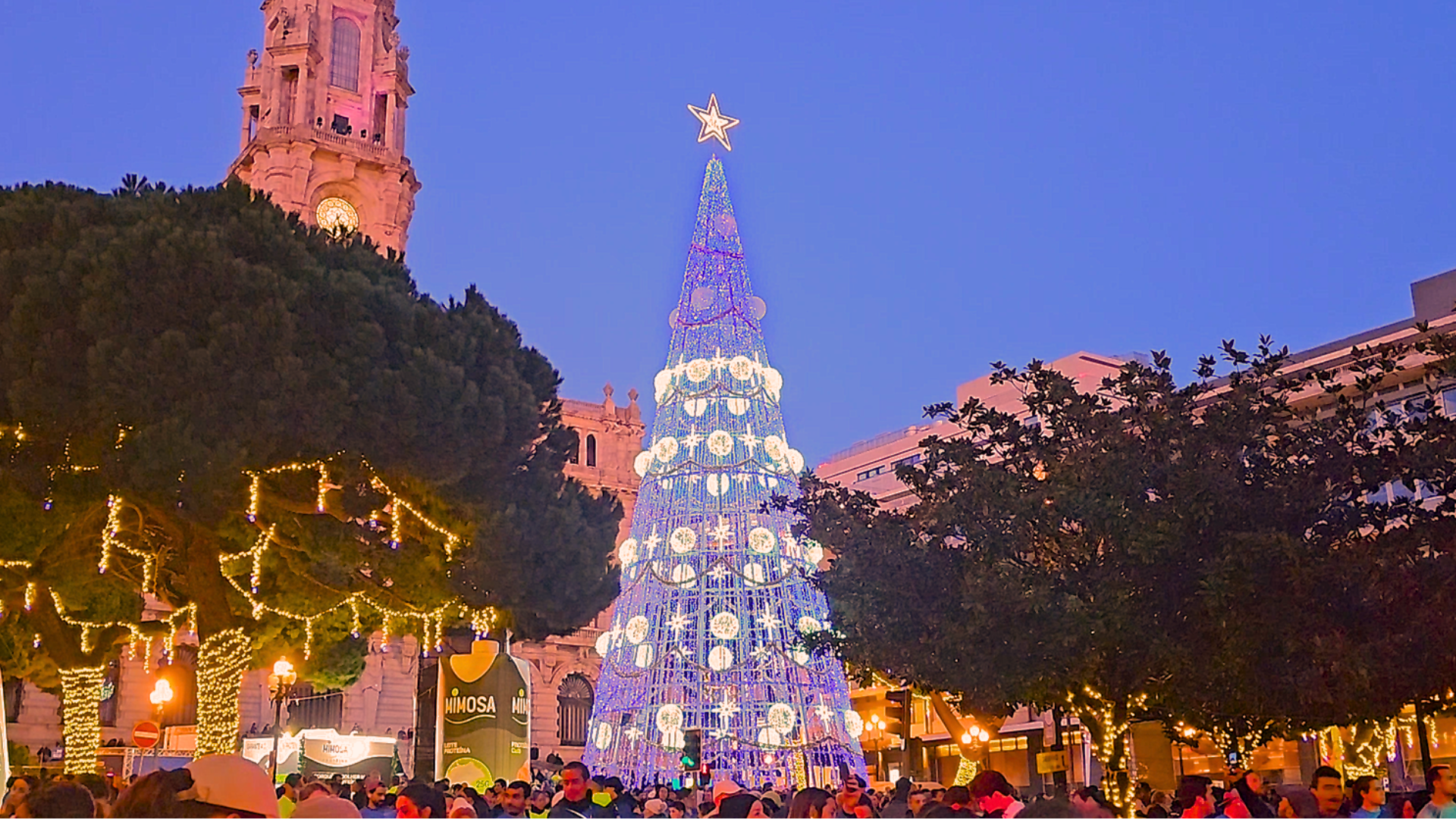 Christmas lights at Avenida dos Aliados in Porto