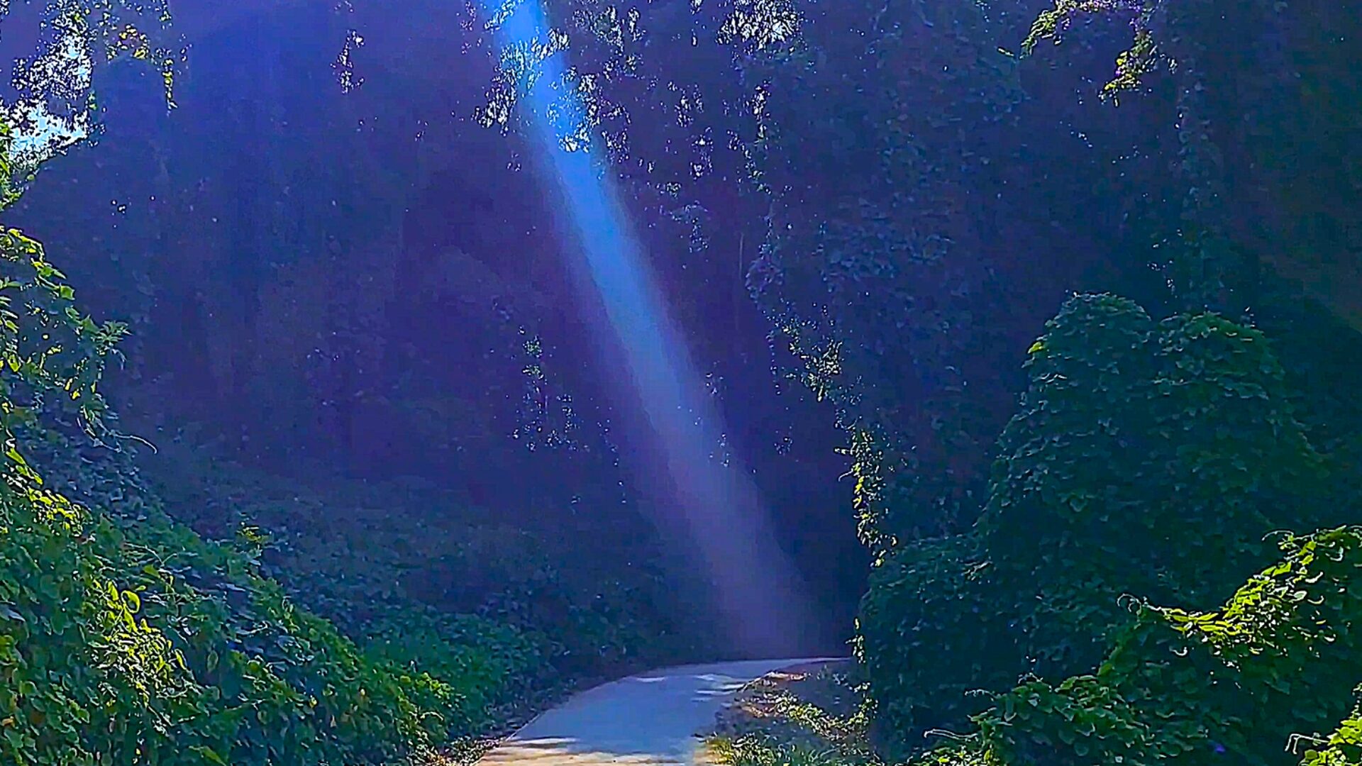 Coastal trail in Arcozelo, Vila Nova de Gaia