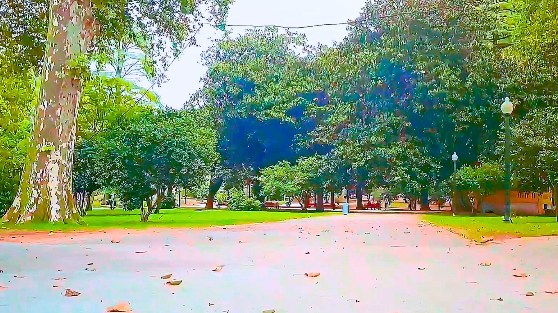 Arca d’Água garden