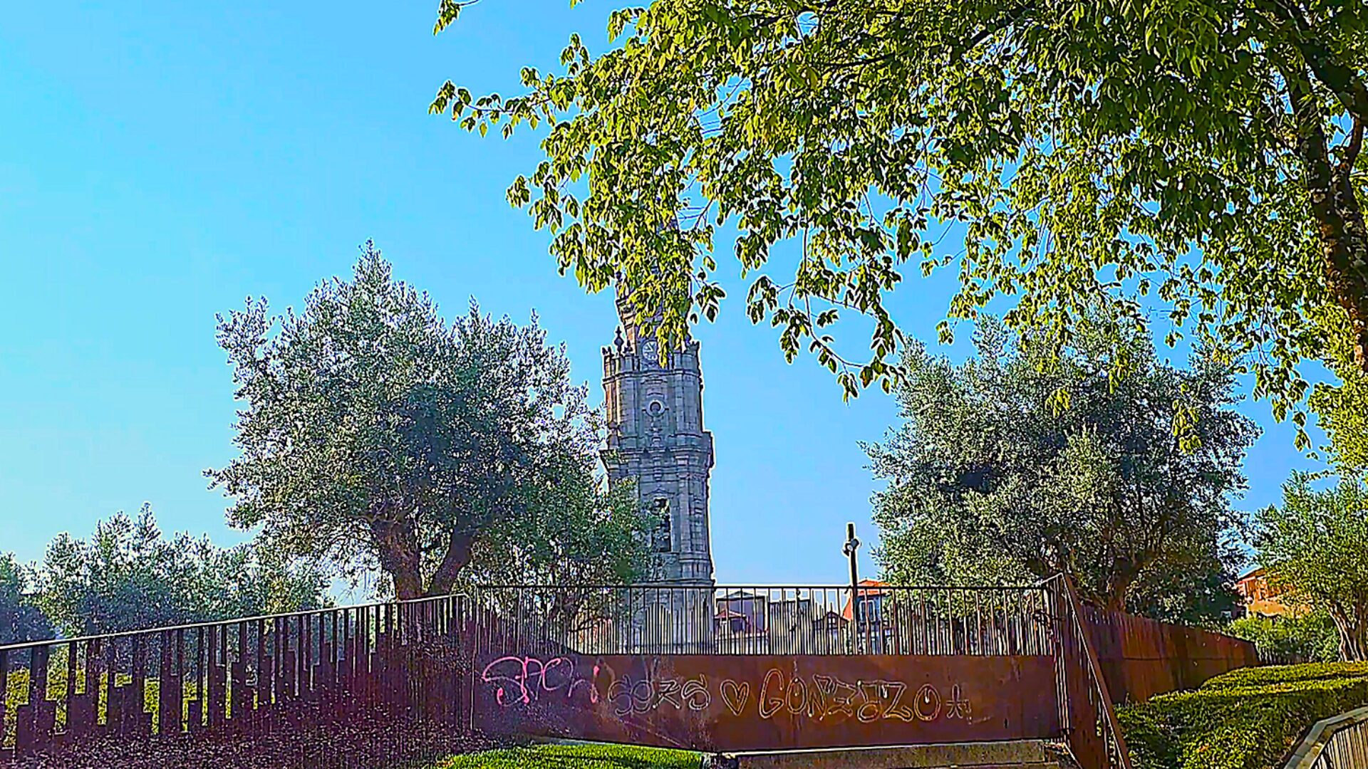 Clérigos Tower in Porto