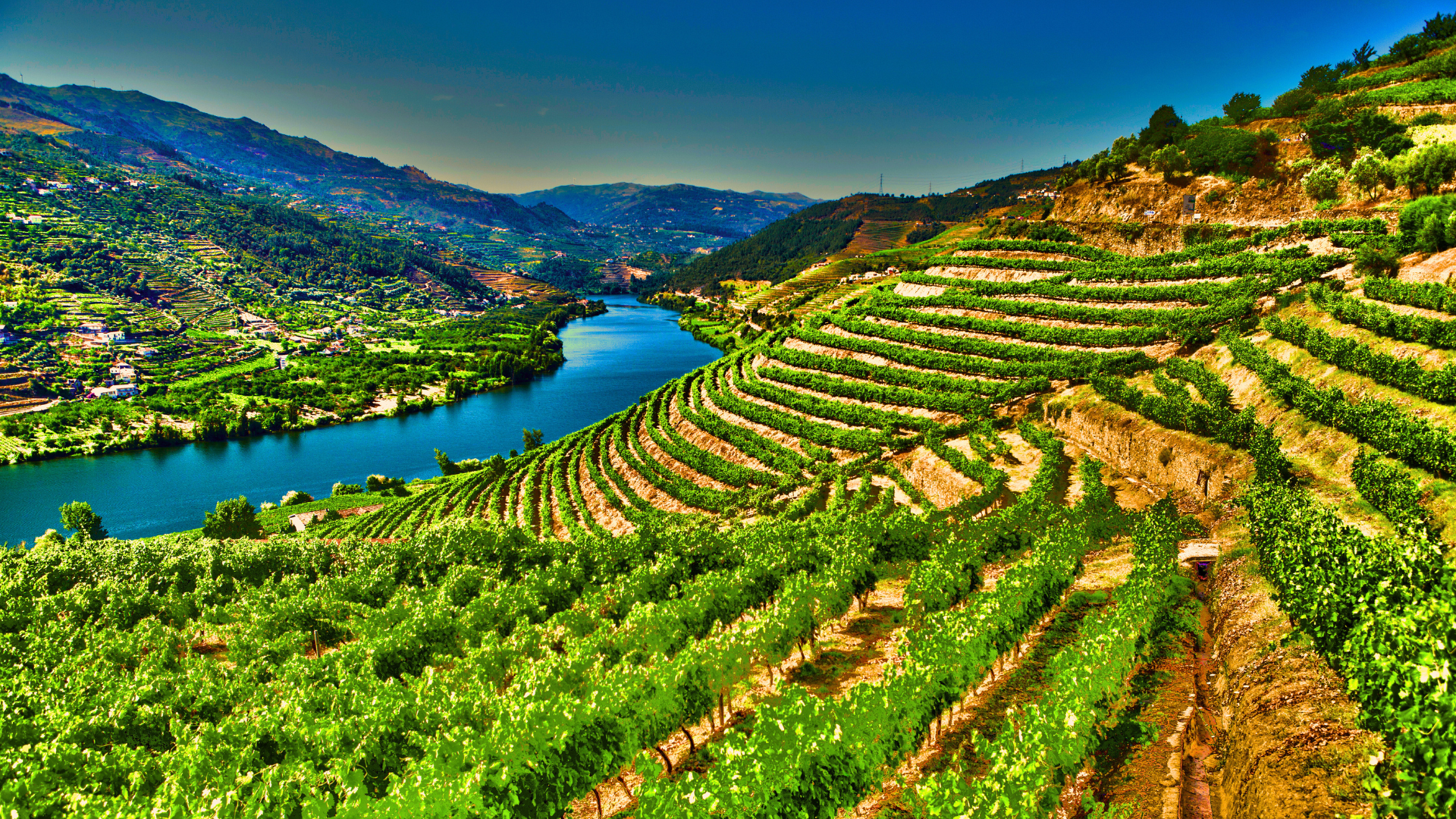Douro Valley landscape
