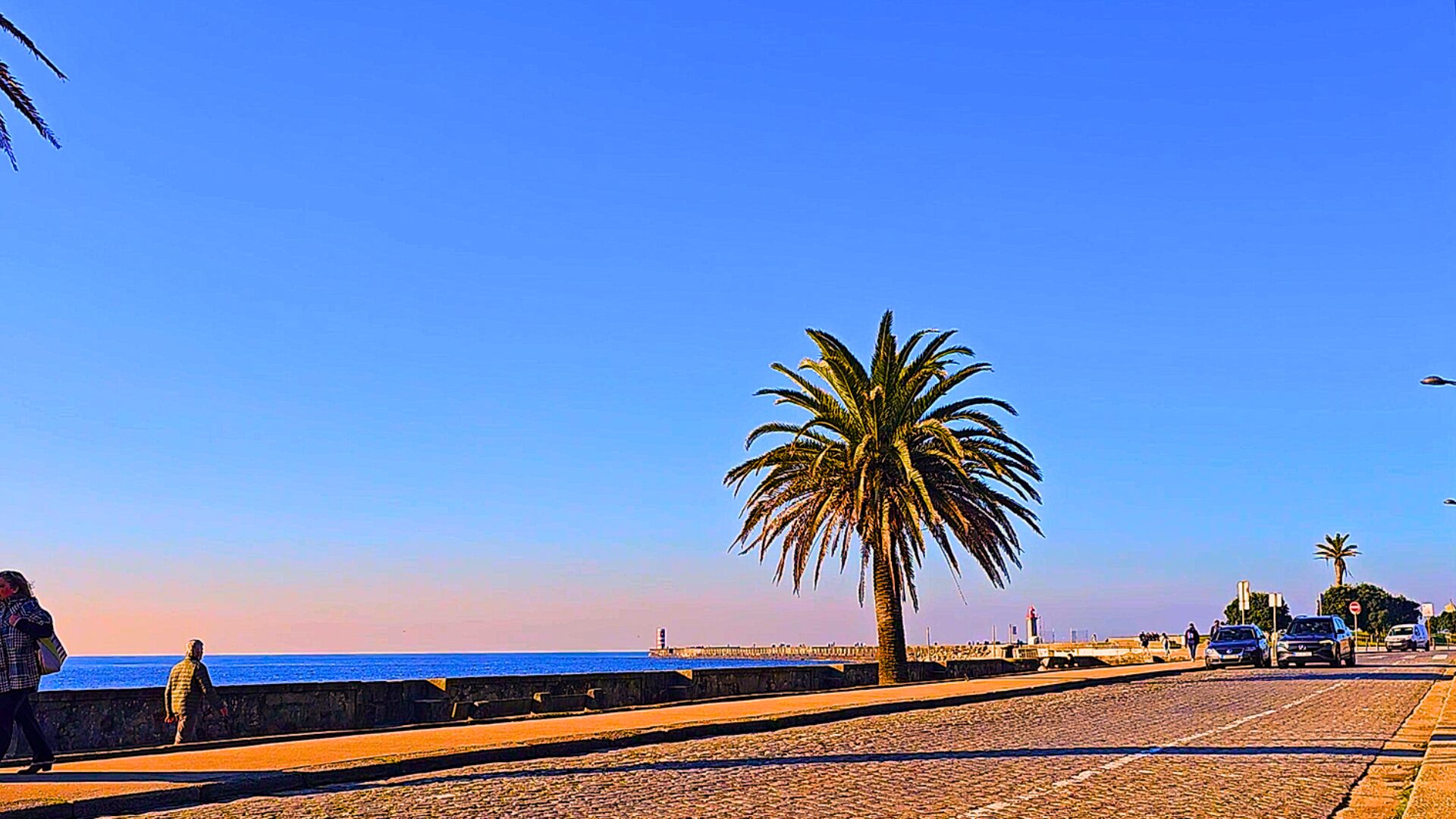 Boardwalk near Passeio Alegre Garden and the river
