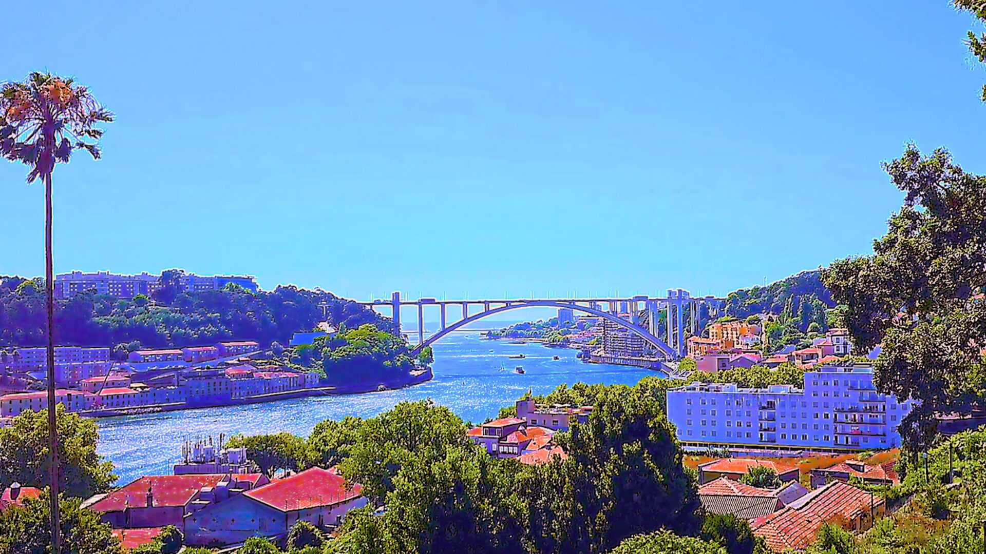 View of the Douro River and Arrábida Bridge from Palácio de Cristal Gardens