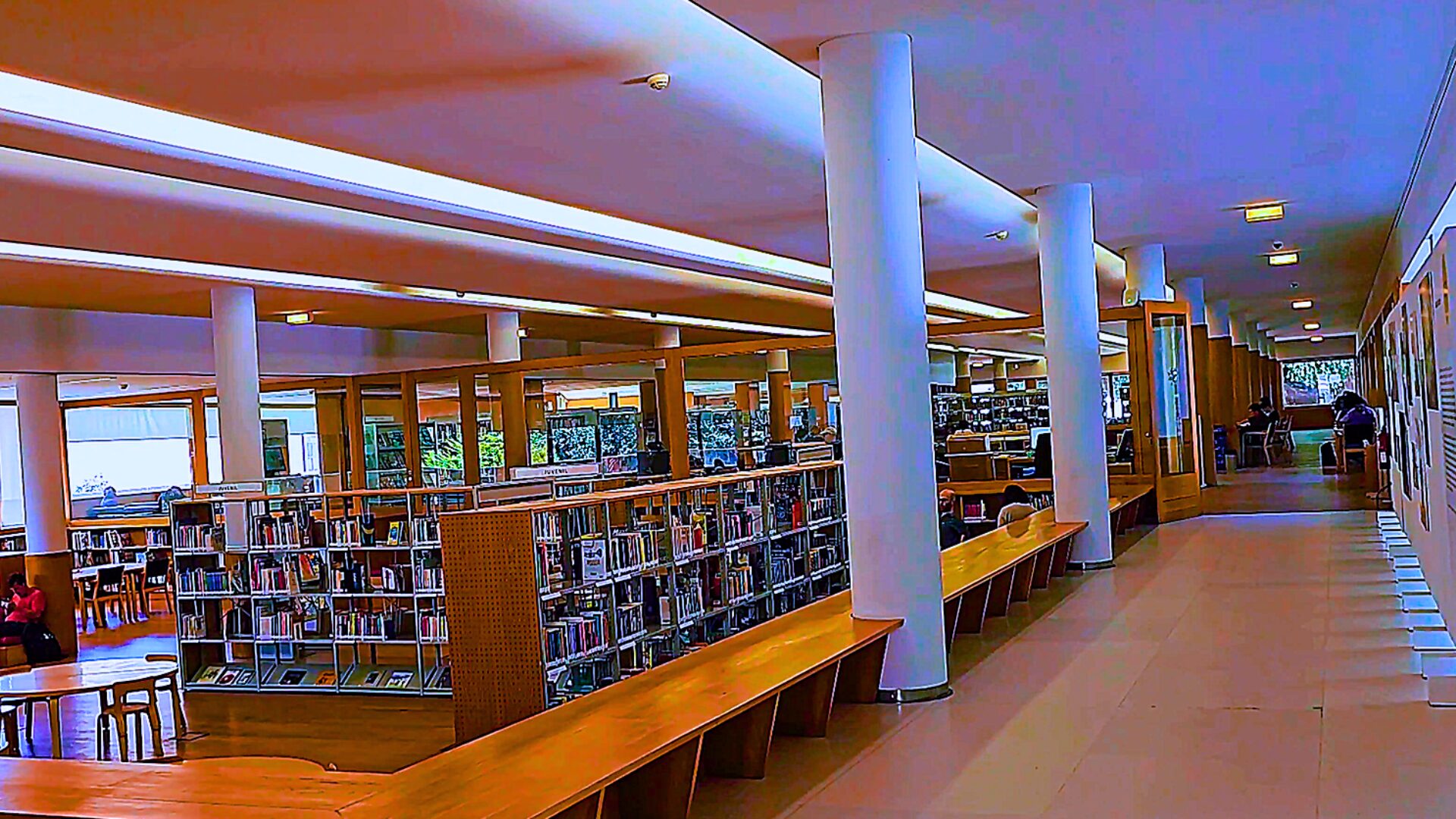 Library inside Palácio de Cristal area in Porto