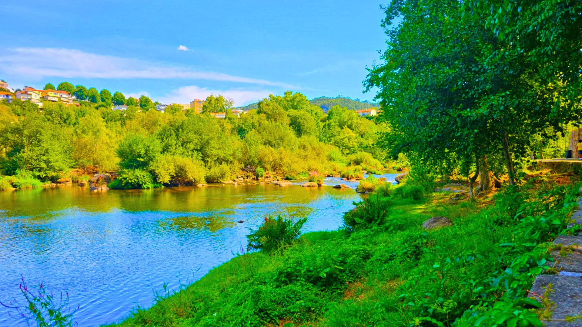 Parque da Cidade in Porto