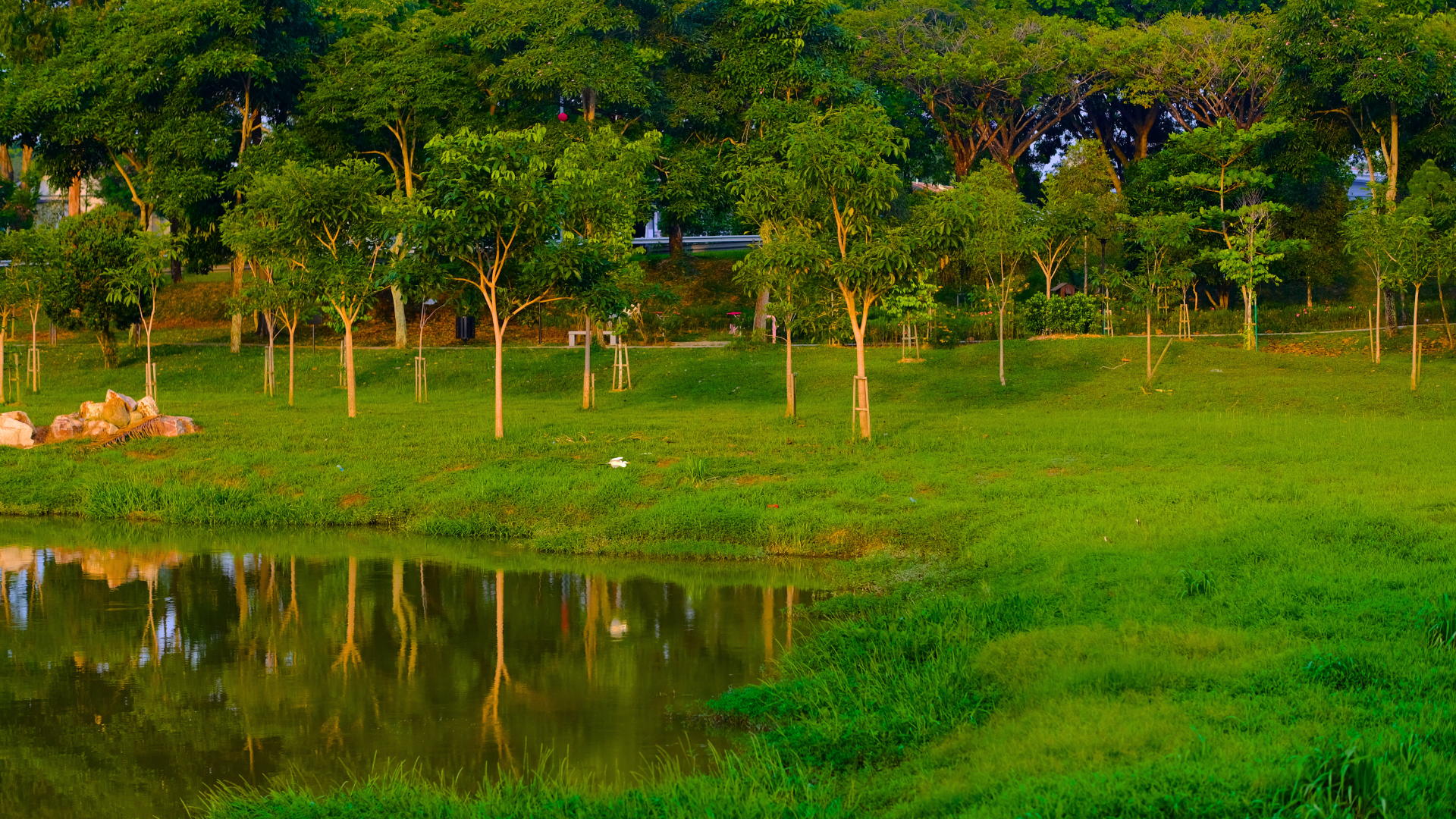 Parque da Cidade in Porto