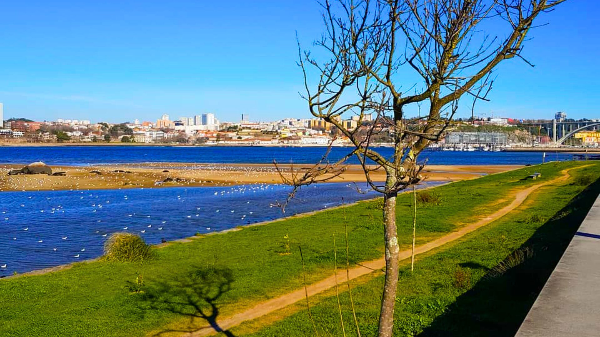 View towards the Douro River from Bico do Cabedelo in Vila Nova de Gaia