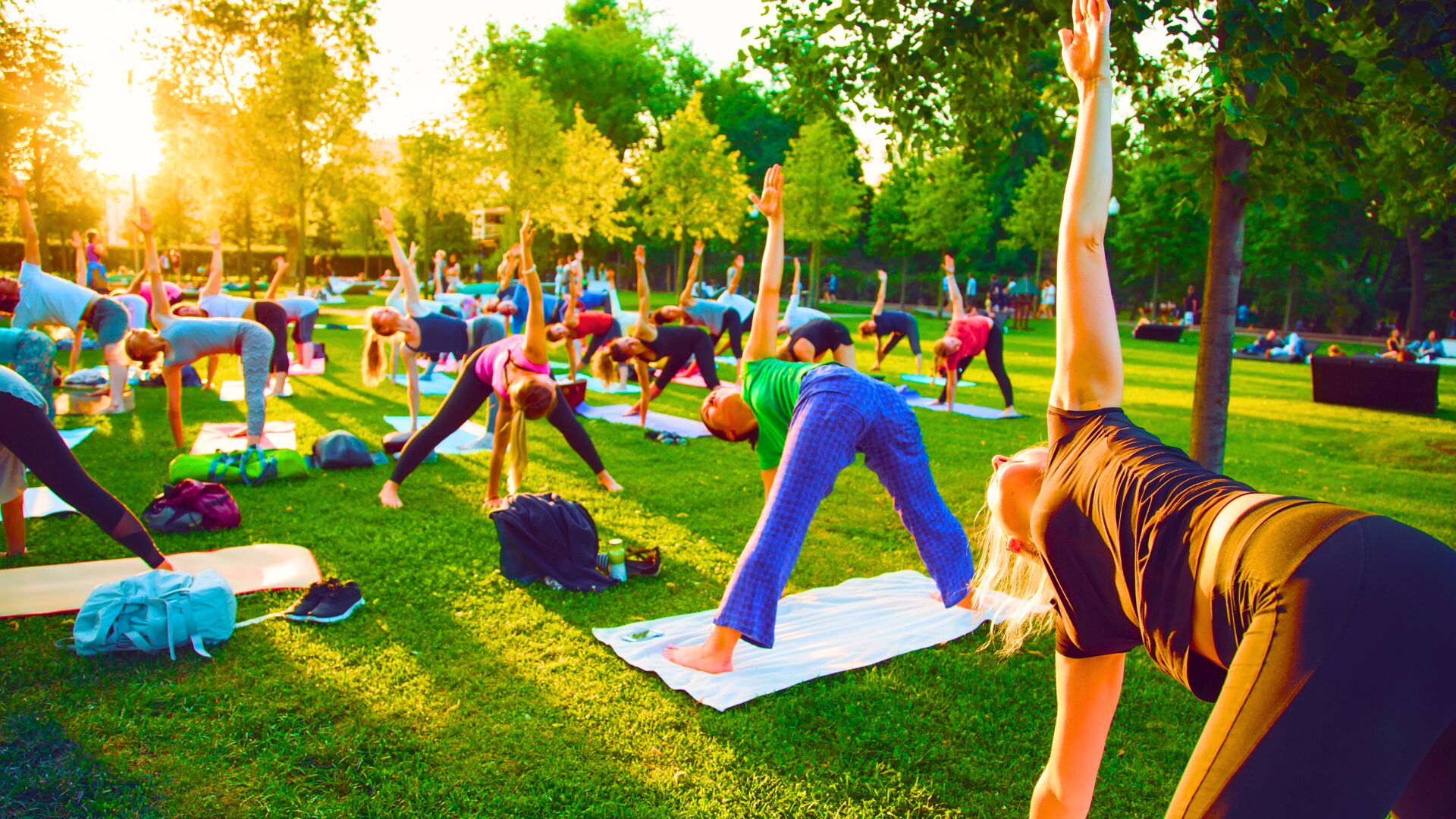 People doing Yoga in a park